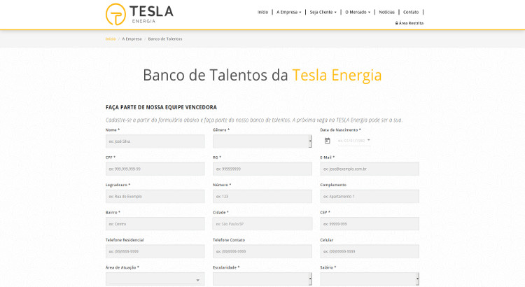 Tesla Energia