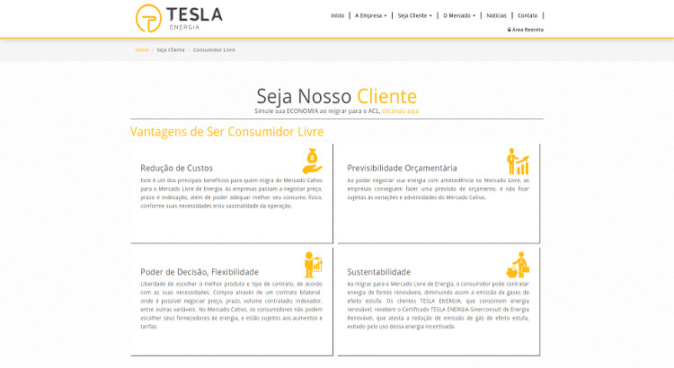 Tesla Energia