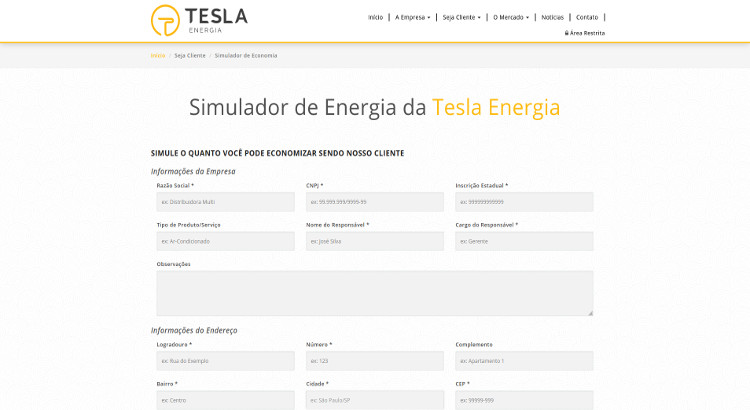 Tesla Energia
